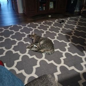 Meet your Posher, Duane